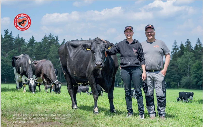 The Beuel family's farm is located at the edge of the Eifel region, Germany. Photo: Hybrid Genetics
