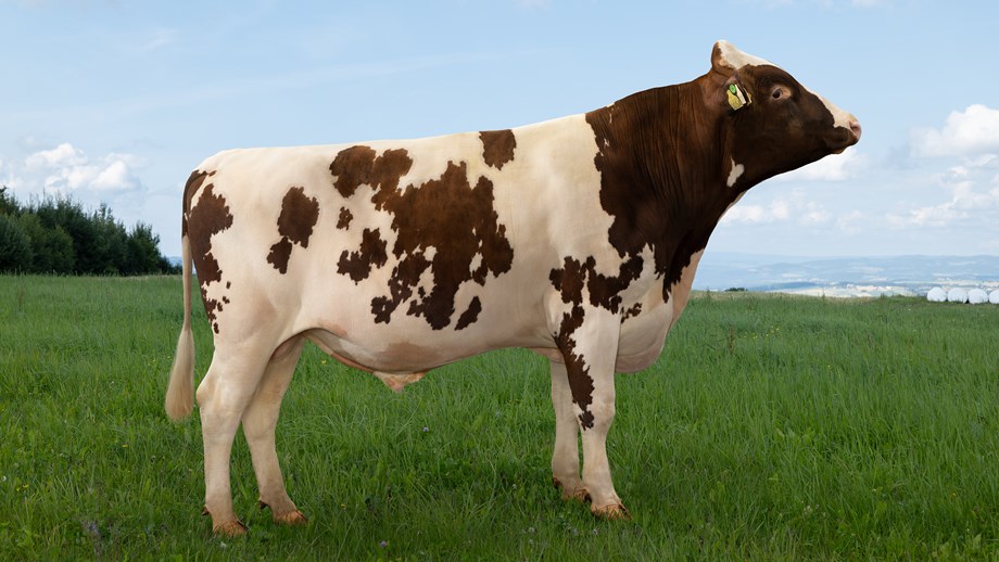 12417 NR Reinskloster