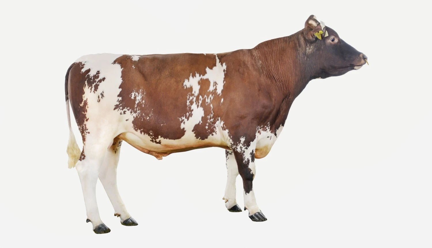 Photo of 11863 Hammeren