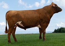 12398 NR Flendalen-PP