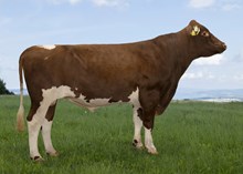 12399 NR Kvarberg-PP